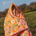 flower-sleeping-bag-2_5bba358c-a2df-4aff-9af4-5b8f1dfb4eeb.jpg
