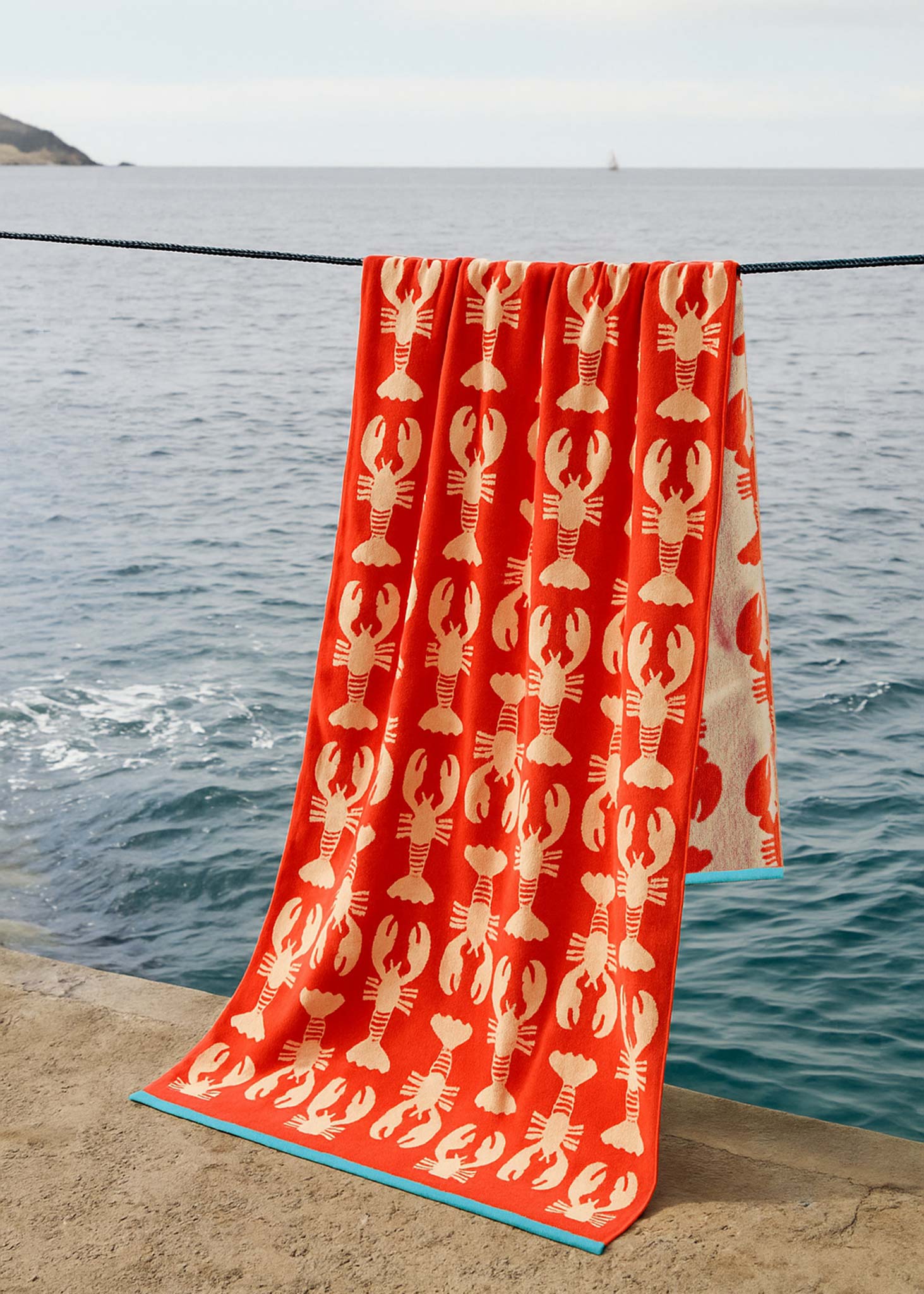 lobsters-hanging-sea.jpg