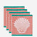 shells-facecloth-set_bcd024c4-e7d5-48cf-8ce5-6da2c415e2ae.jpg