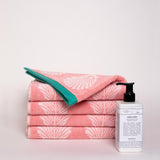 x4 Shells Organic Cotton Hand Towels